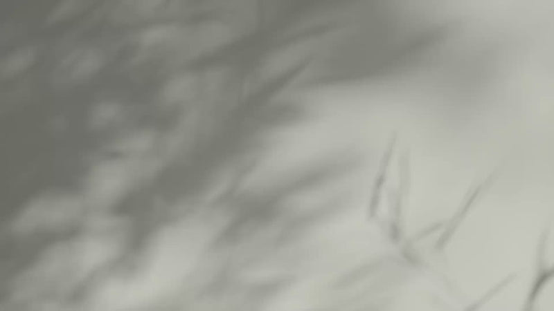 Animated appearance of the Nokori “Scar Care Basics” logo on a neutral background, used as a video intro.